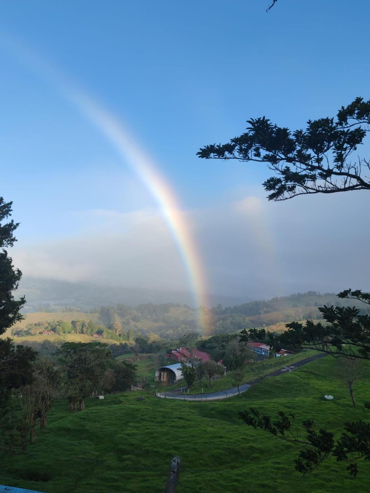 הרדיה Chalets Vistas Del Poas מראה חיצוני תמונה