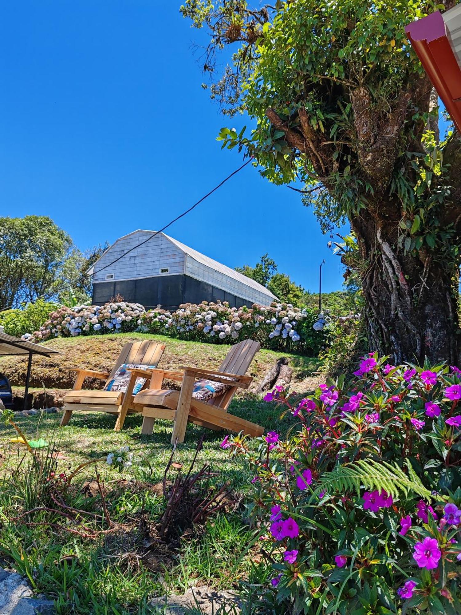 הרדיה Chalets Vistas Del Poas מראה חיצוני תמונה